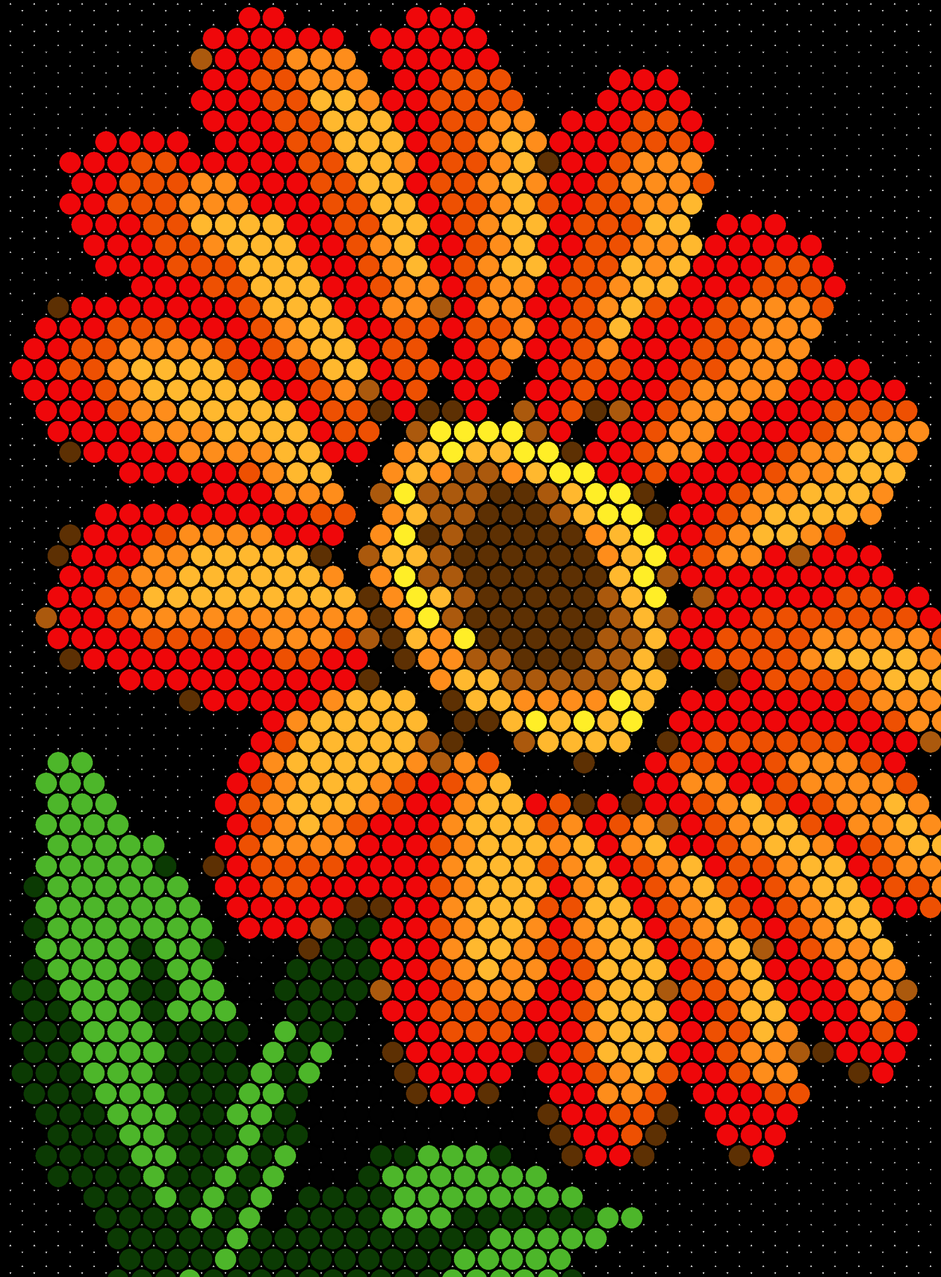 fleurs