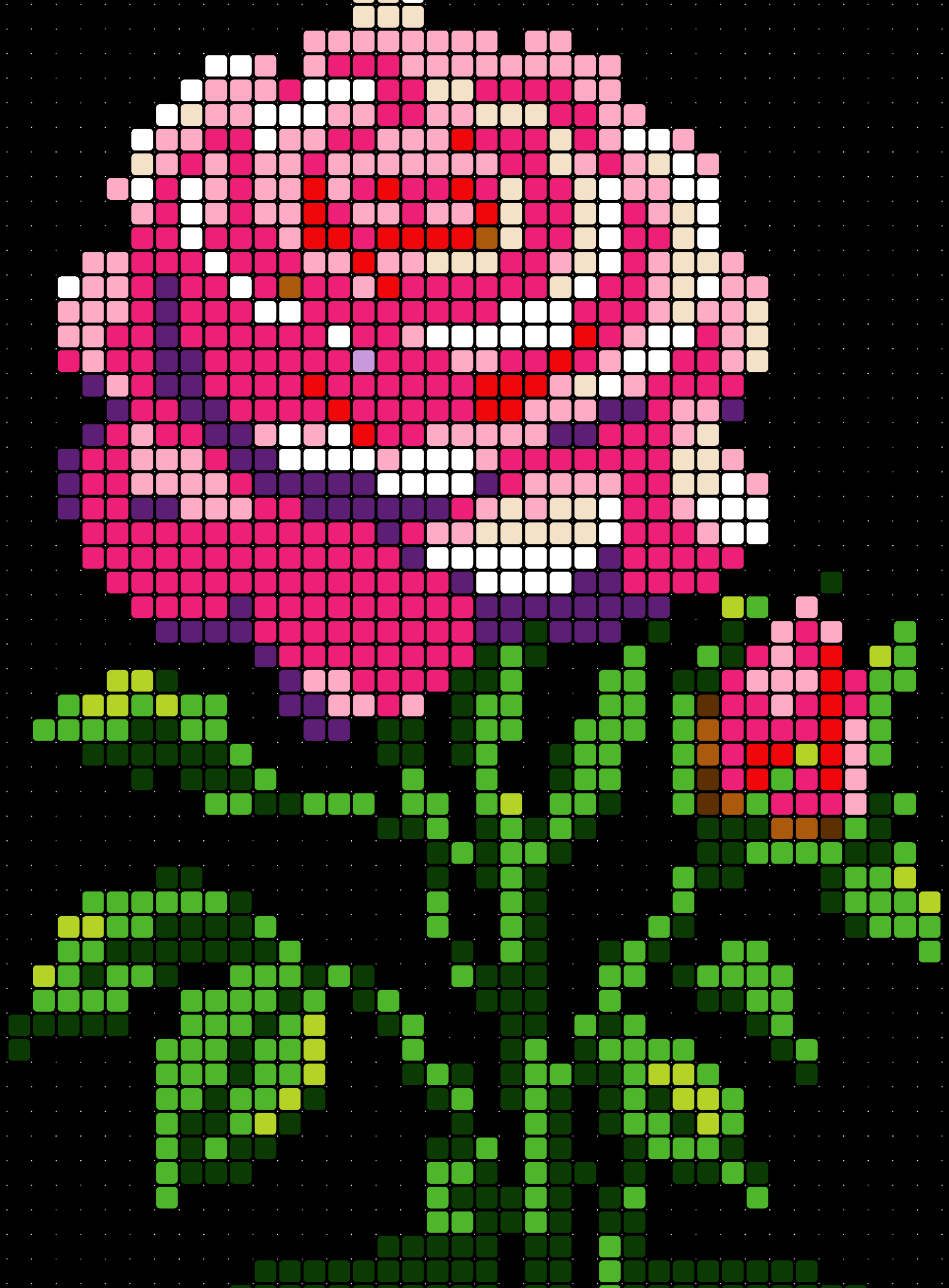 fleurs