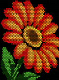 fleurs