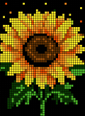 fleurs