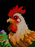 coq