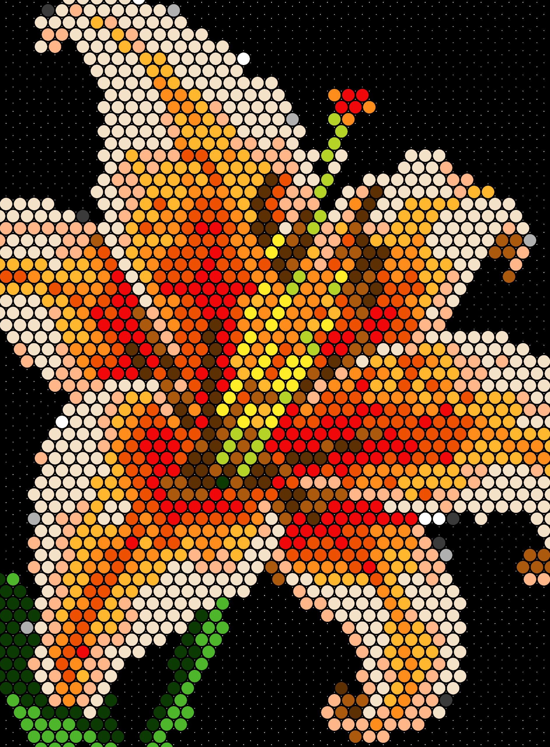a single lily bloom