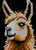 lama