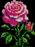 fleurs